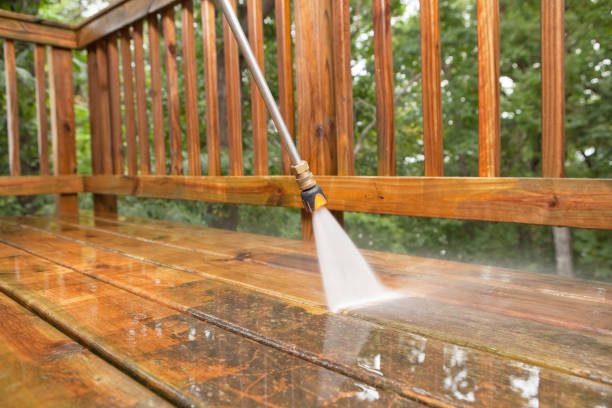 Best Residential Exterior Washing  in Brundidge, AL